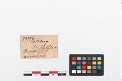 Etikett zu Bronzekugelkopfnadeln (NHMW-PRAE-024708)